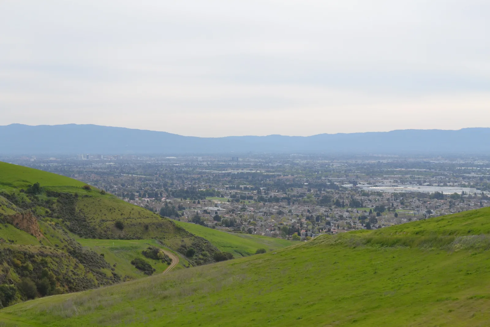 Homes in Milpitas, California